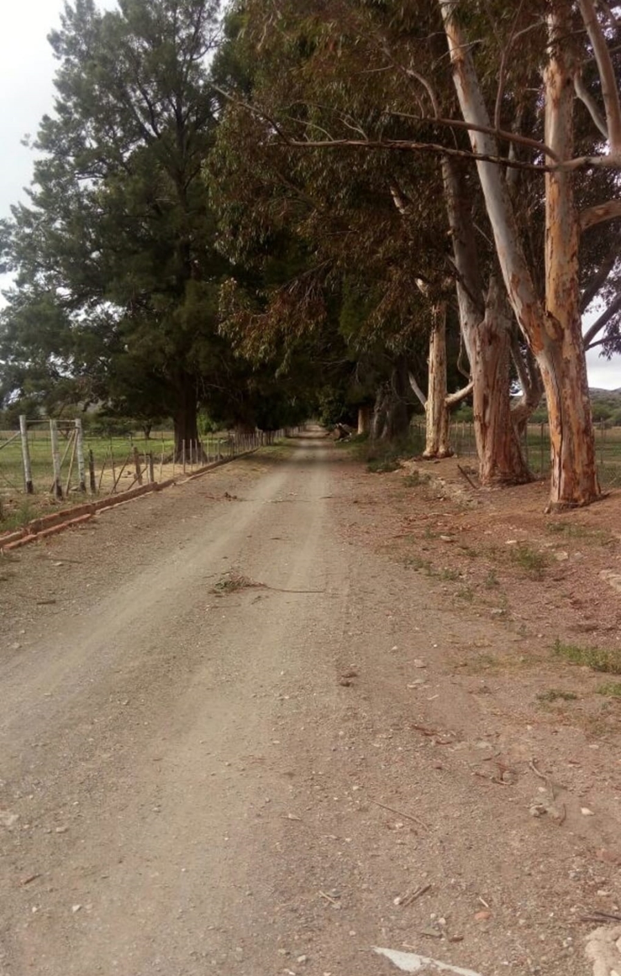 6 Bedroom Property for Sale in Willowmore Eastern Cape